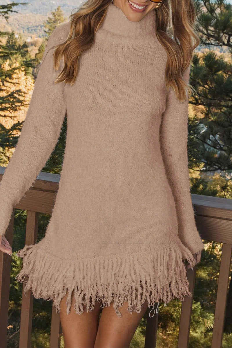 Women Turtleneck Tassel Knitted Sweater Dress - Seldom Seen Styles