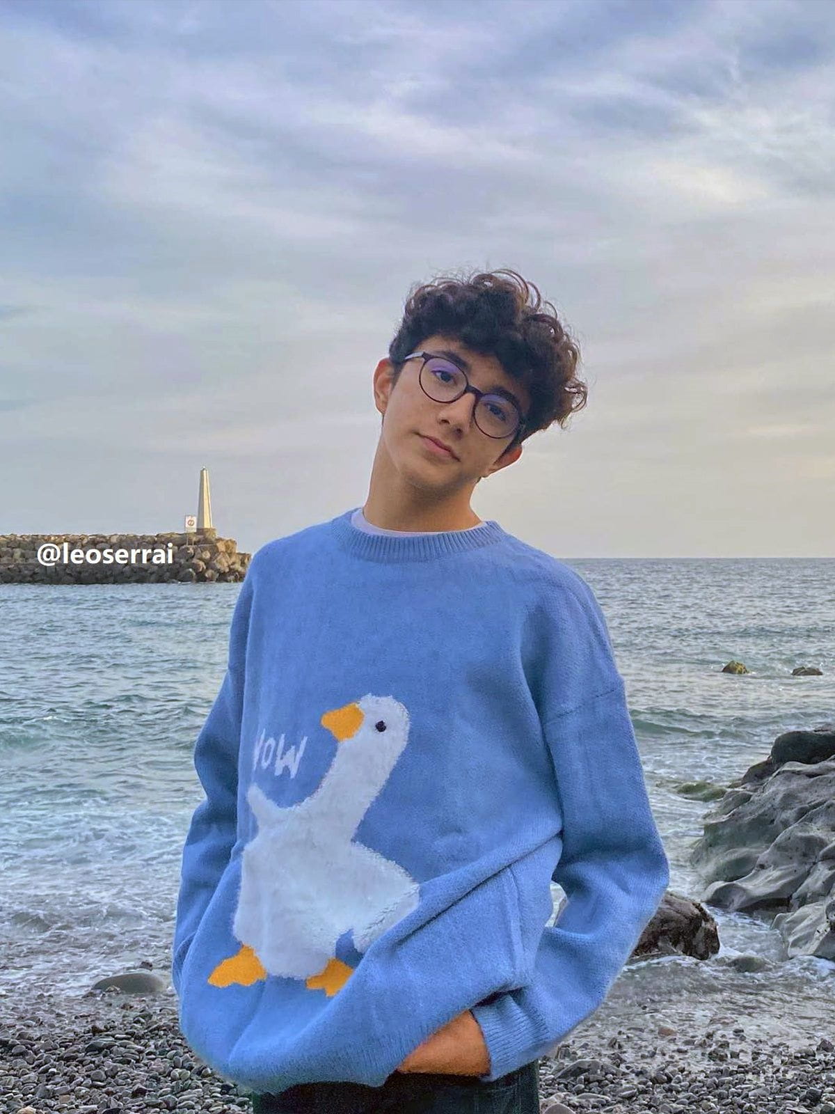 Aelfric Eden Wow Goose Graphic Sweater - Seldom Seen Styles