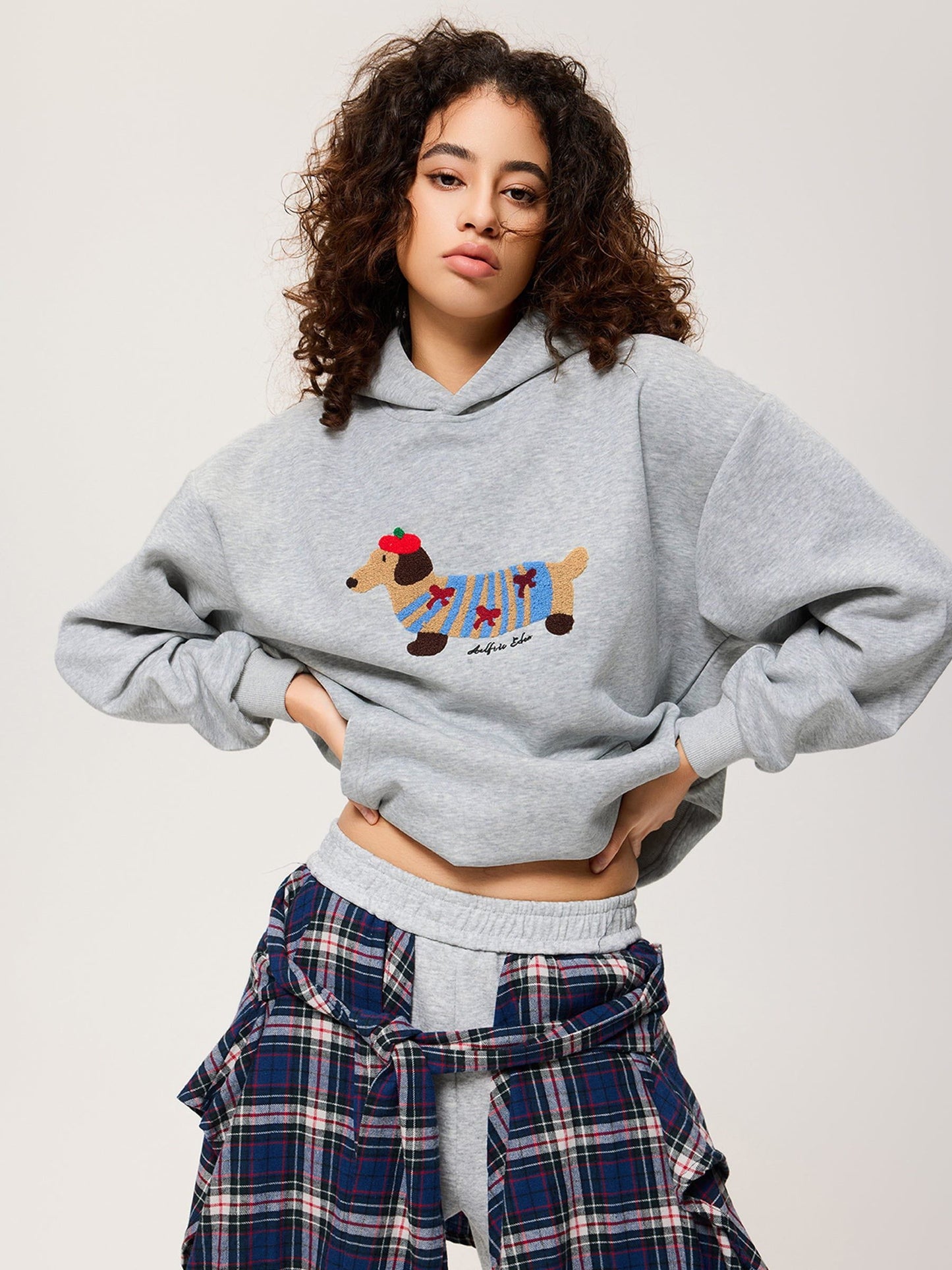 Aelfric Eden Cartoon Dachshund Hoodie - Seldom Seen Styles