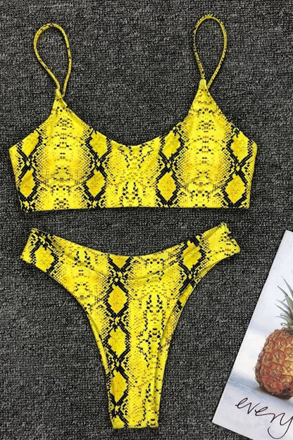 Leopard Print Bikini Set (Multicolor) - Dress In Beauty