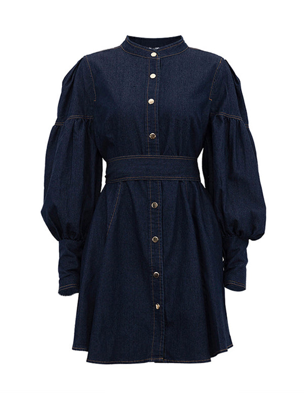 Buttoned Pleated Split-Joint Tied Waist A-Line Long Sleeves Mock Neck Mini Dresses - Seldom Seen Styles