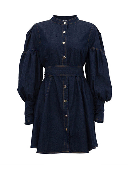 Buttoned Pleated Split-Joint Tied Waist A-Line Long Sleeves Mock Neck Mini Dresses - Seldom Seen Styles