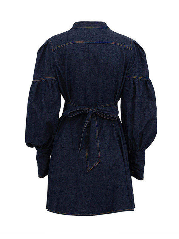 Buttoned Pleated Split-Joint Tied Waist A-Line Long Sleeves Mock Neck Mini Dresses - Seldom Seen Styles
