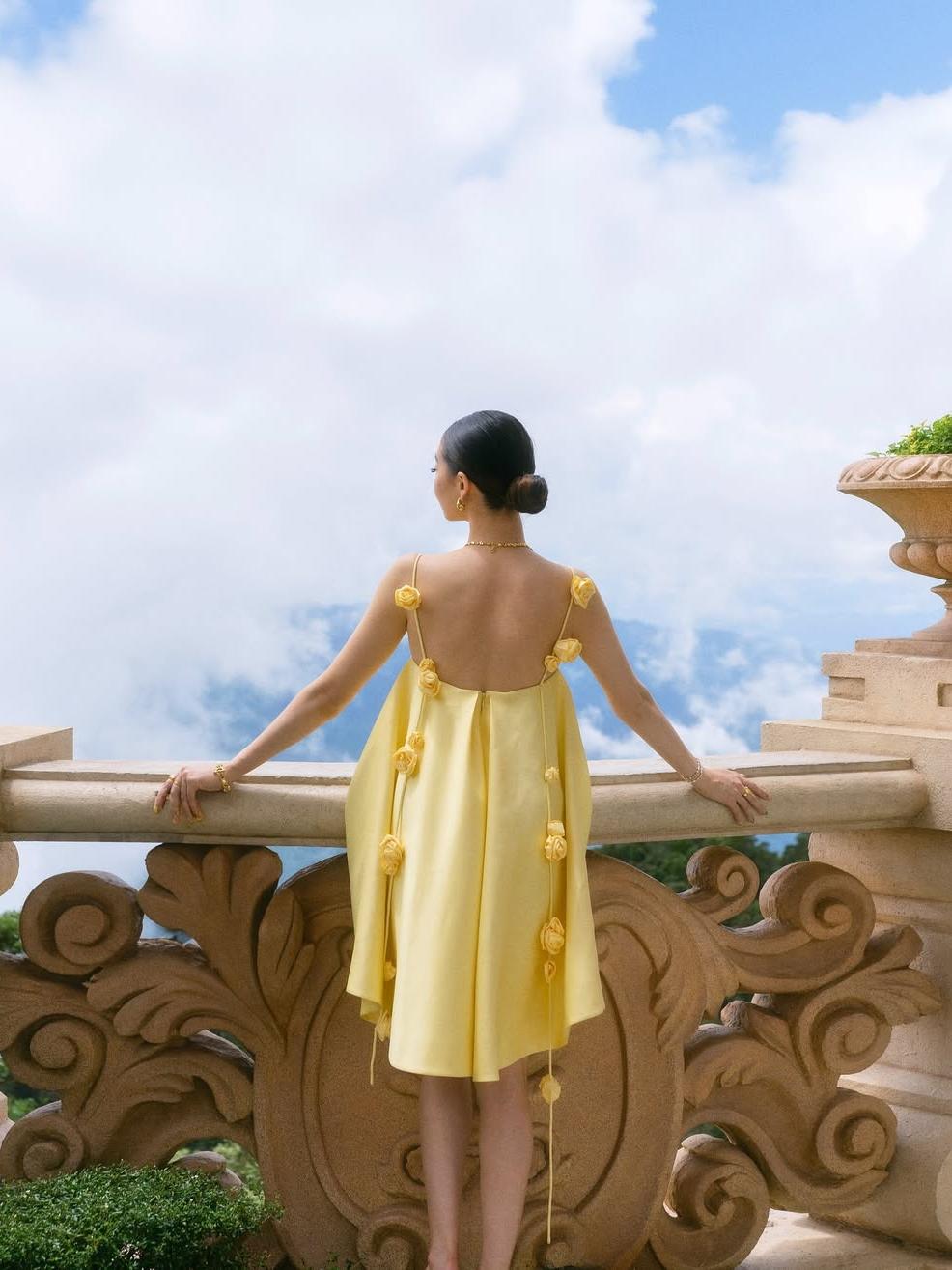 Fiona Rose Mini Dress - Seldom Seen Styles