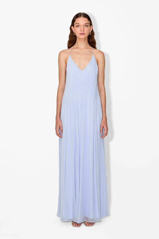 Haydin Maxi Dress - Hydrangea - Seldom Seen Styles