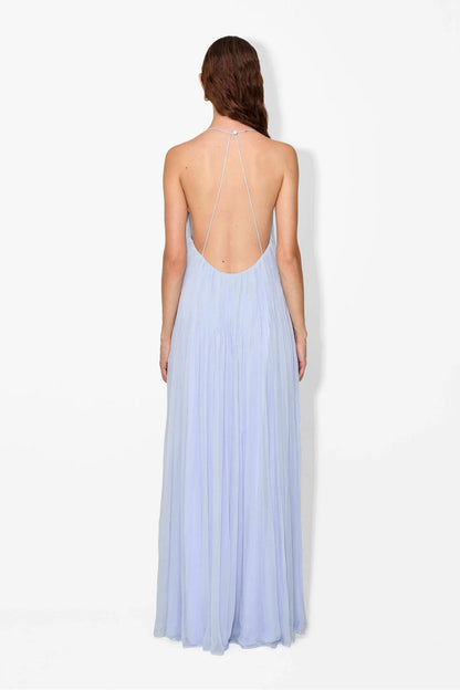 Haydin Maxi Dress - Hydrangea - Seldom Seen Styles