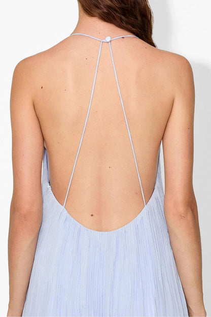 Haydin Maxi Dress - Hydrangea - Seldom Seen Styles