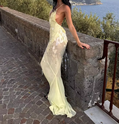 JANA SHEER SEQUIN V NECK DRESS - Seldom Seen Styles