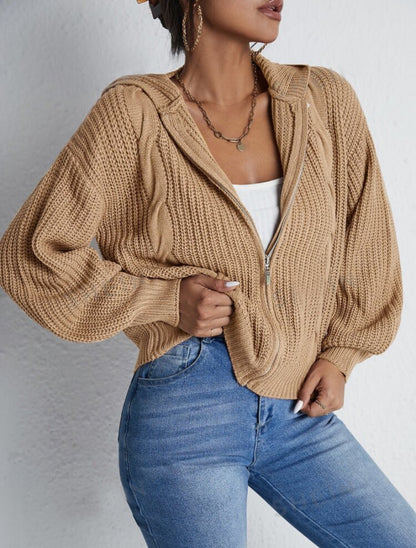 Textured Drop Shoulder Zip Up Hooded Cardigan, Casual Long Sleeve Cardigan Sweater, 2024 Women's Autumn & Winter Clothes for Daily Wear, Evening Tops, Fall & Winter Clothes, Year End Sale, Valentine's Day Gift for Girl