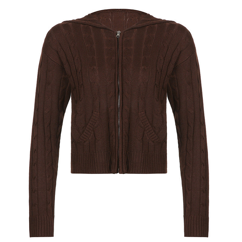 Women's Solid Drawstring Full Zip Up Hooded Spring Crochet Cardigan, Back To School Outfits, Drop Shoulder Kitting Fall Sweater Tops, Cardigan for Women, Casual Solid Dual Pocket Fall Outerwear for New Style, Fall outfits, Fallfreshness - Seldom Seen Styles