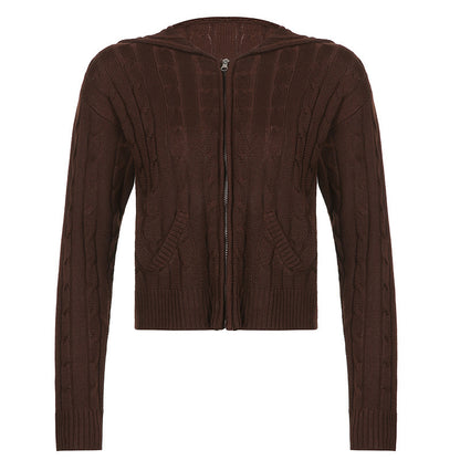 Women's Solid Drawstring Full Zip Up Hooded Spring Crochet Cardigan, Back To School Outfits, Drop Shoulder Kitting Fall Sweater Tops, Cardigan for Women, Casual Solid Dual Pocket Fall Outerwear for New Style, Fall outfits, Fallfreshness - Seldom Seen Styles