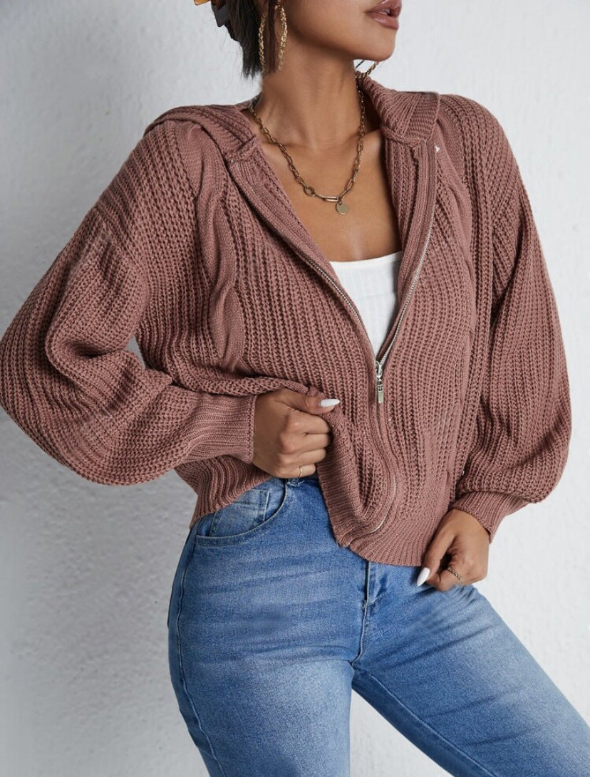 Textured Drop Shoulder Zip Up Hooded Cardigan, Casual Long Sleeve Cardigan Sweater, 2024 Women's Autumn & Winter Clothes for Daily Wear, Evening Tops, Fall & Winter Clothes, Year End Sale, Valentine's Day Gift for Girl - Seldom Seen Styles