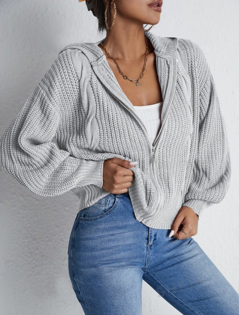 Textured Drop Shoulder Zip Up Hooded Cardigan, Casual Long Sleeve Cardigan Sweater, 2024 Women's Autumn & Winter Clothes for Daily Wear, Evening Tops, Fall & Winter Clothes, Year End Sale, Valentine's Day Gift for Girl - Seldom Seen Styles