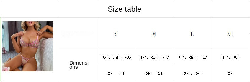 Lingerie for Women Sexy Floral Embroidered See Through Underwire Bra and Panty Set - Seldom Seen Styles