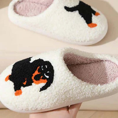 Cute & warm women's slippers